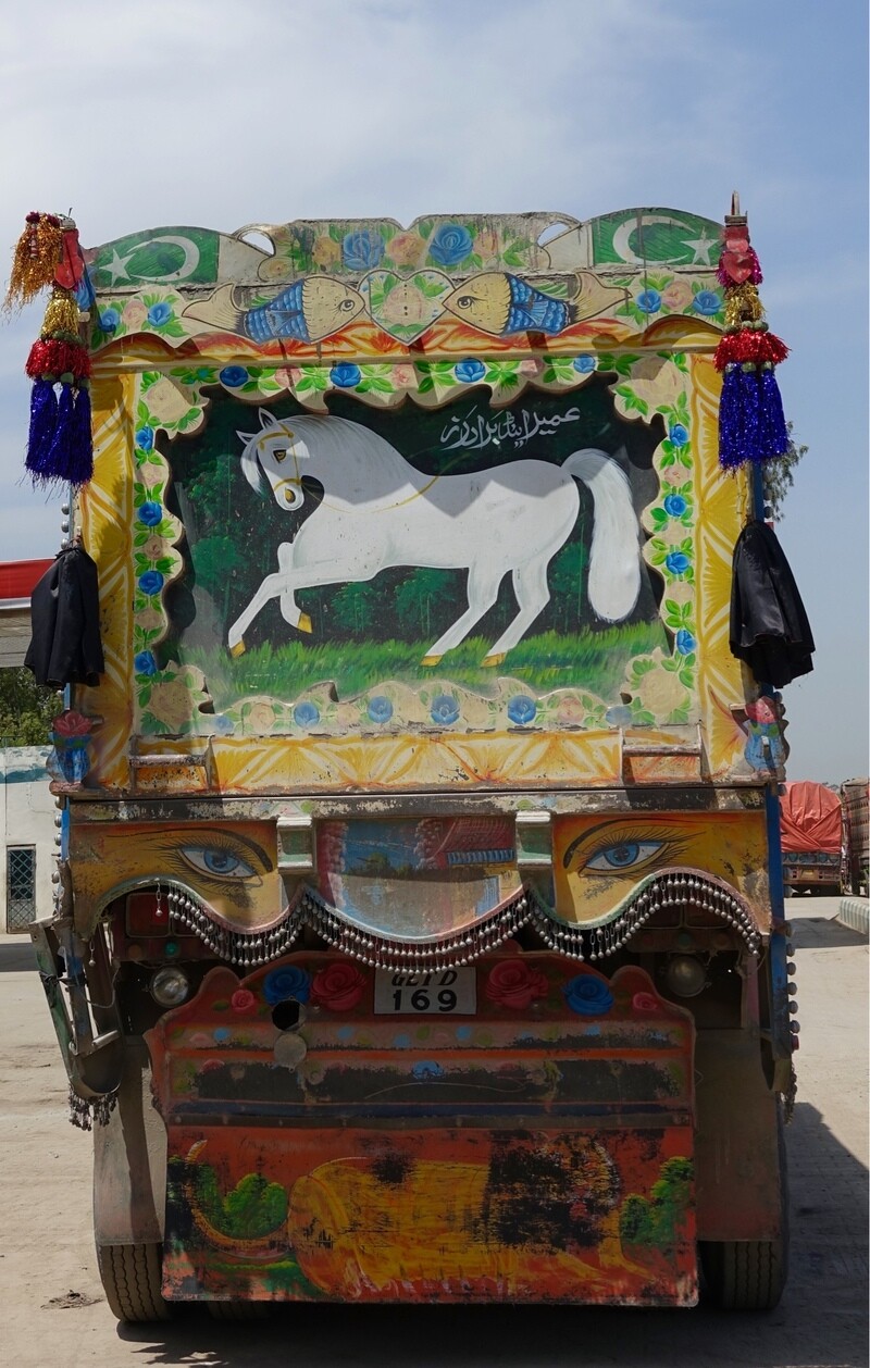 "Часто можно встретить изображение белого коня"