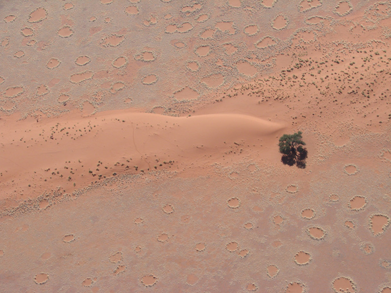 «Яркие холмы и забрызганные белыми кляксами солончаков впадины сливаются в абстрактные картины»