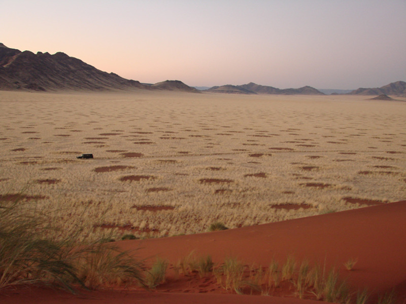 "В цвете песчаных холмов сочетаются более 16 оттенков"
