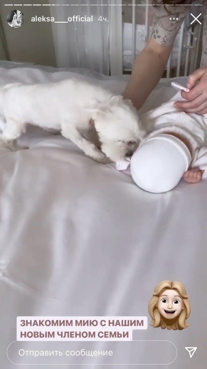 Собачка познакомилась с новым членом семьи