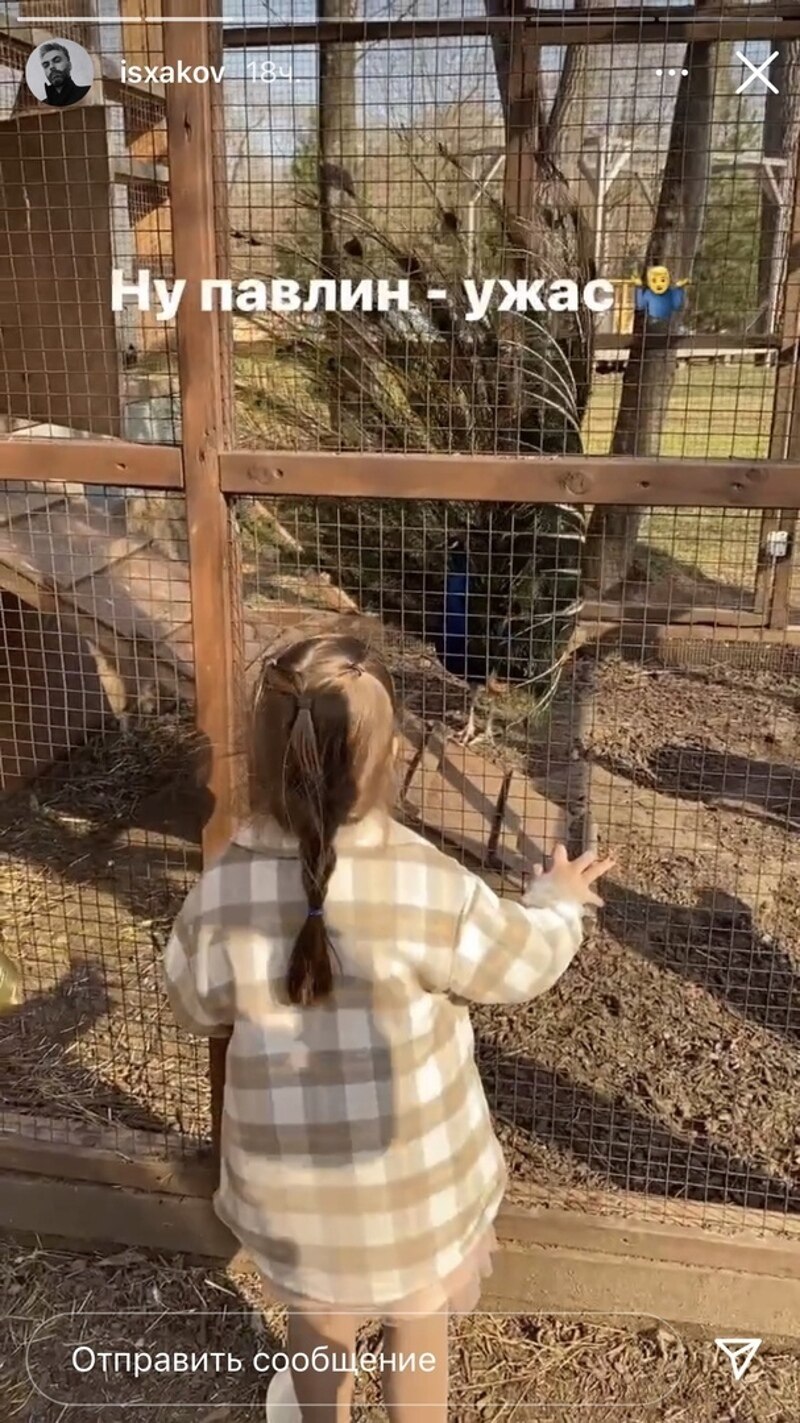 Мия рассматривает павлинов в зоопарке