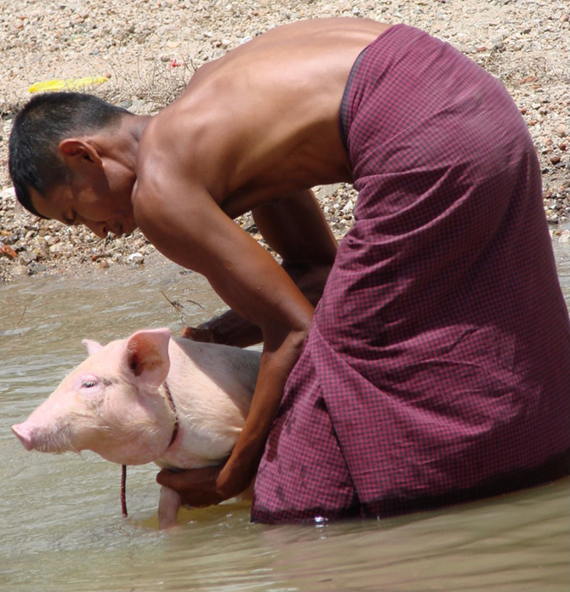 В Мьянме мужчины носят длинные юбки — пасо