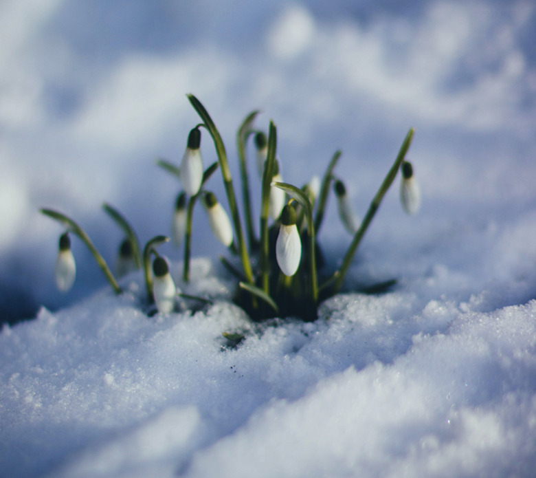 Что нам приготовили звезды в марте?