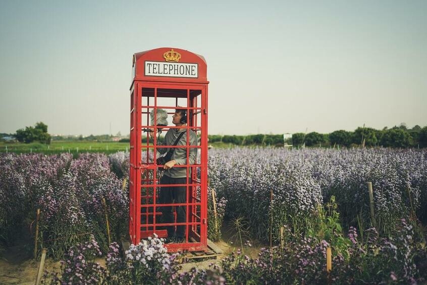 какие языки вы планируете изучать?