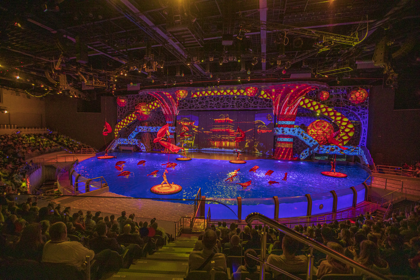 Снежная королева, космические пираты и шоу с косатками: куда пойти с детьми в декабре