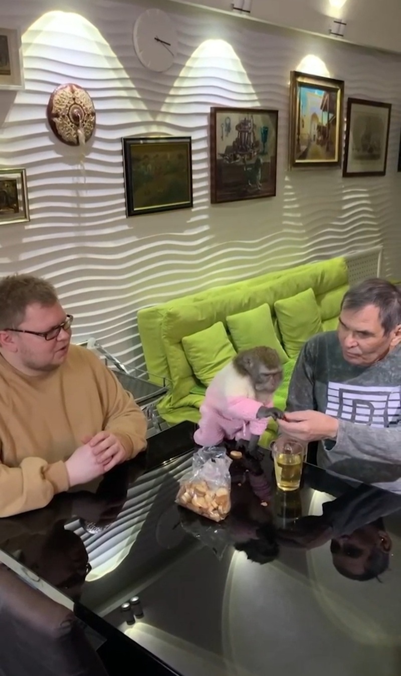 Продюсер и Машка нашли общий язык