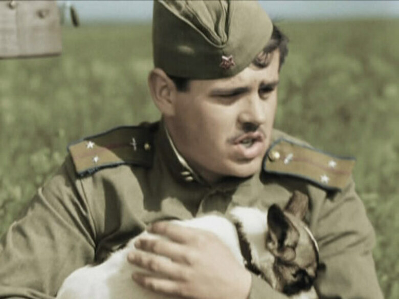 Александр Немченко