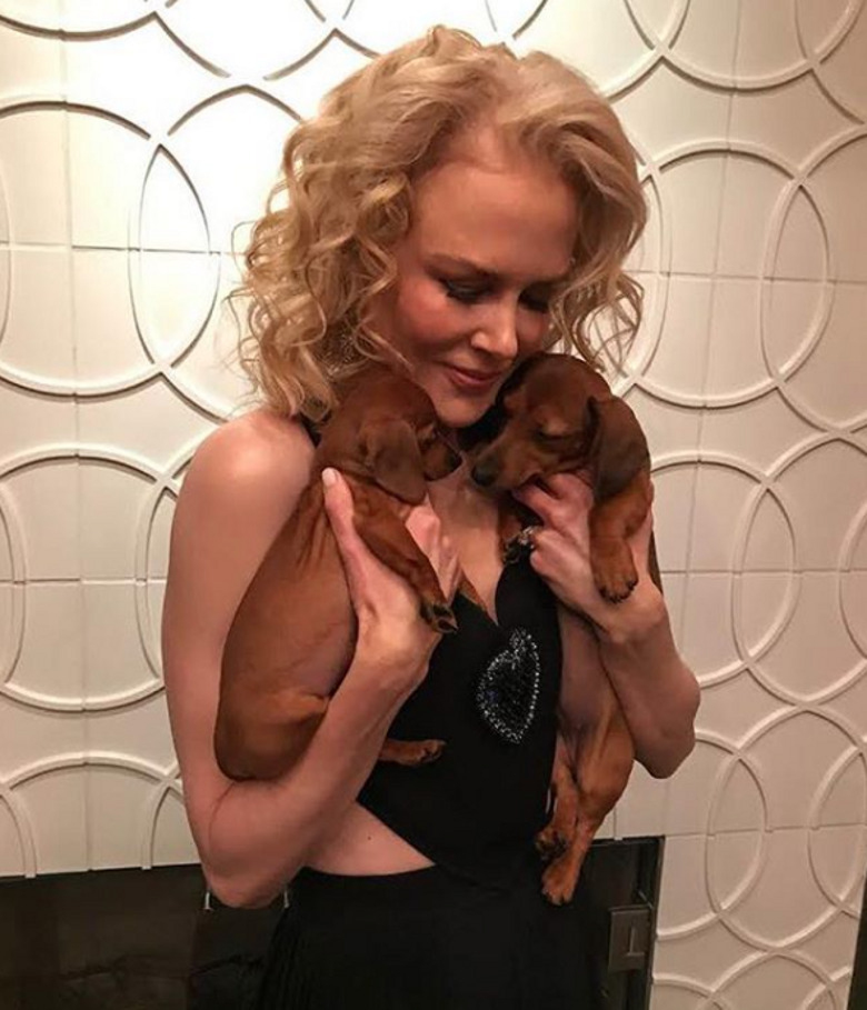 Николь Кидман