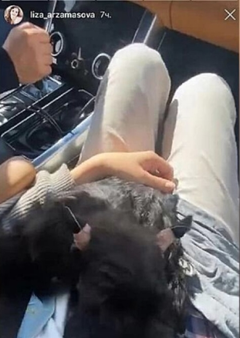 Арзамасова опубликовала видео с Авербухом