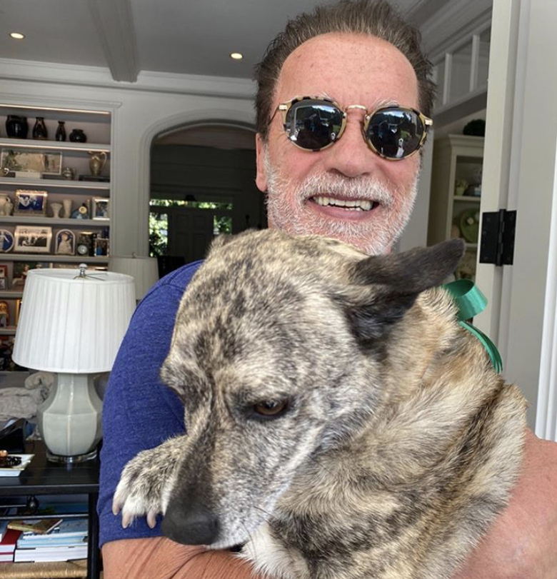 Арнольд Шварценеггер