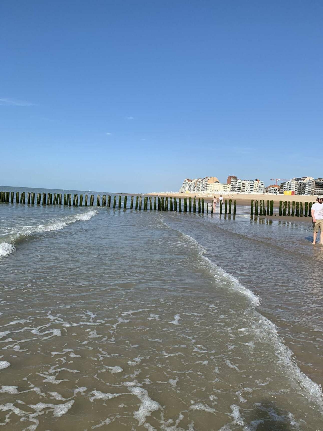 На Северном море тоже можно отдохнуть, пока курорты закрыты для иностранцев