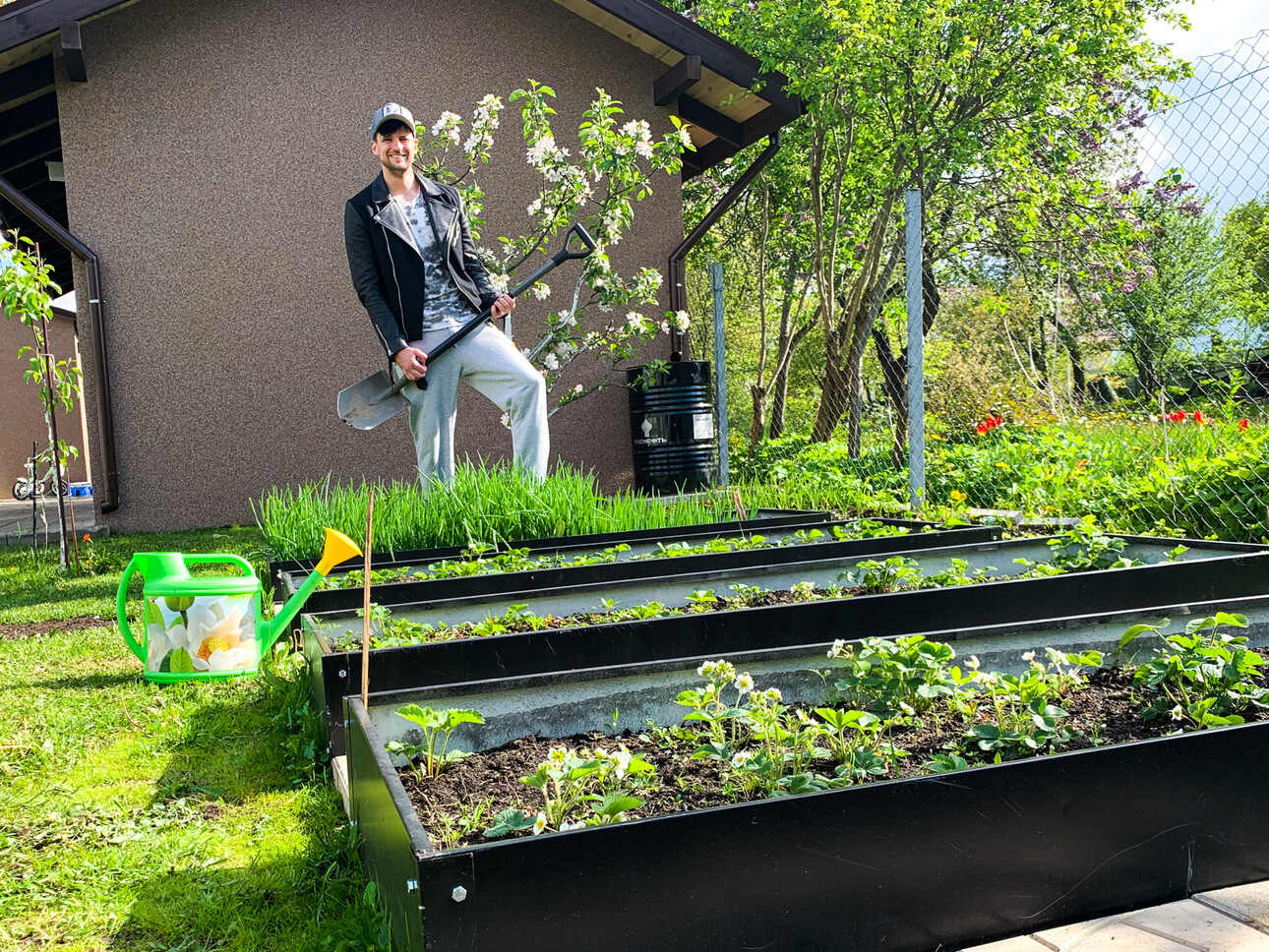 На грядках у певца растет много овощей и зелени