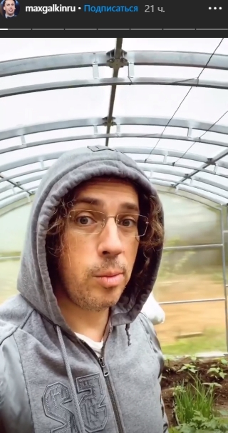 Галкин показал теплицу на участке их с Пугачевой подмосковного замка