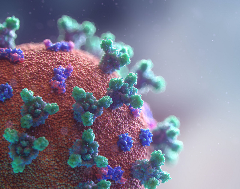 Когда в столице наступит пик заболеваемости коронавирусом?