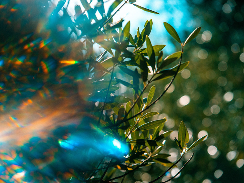 Что звезды обещают нам в апреле?