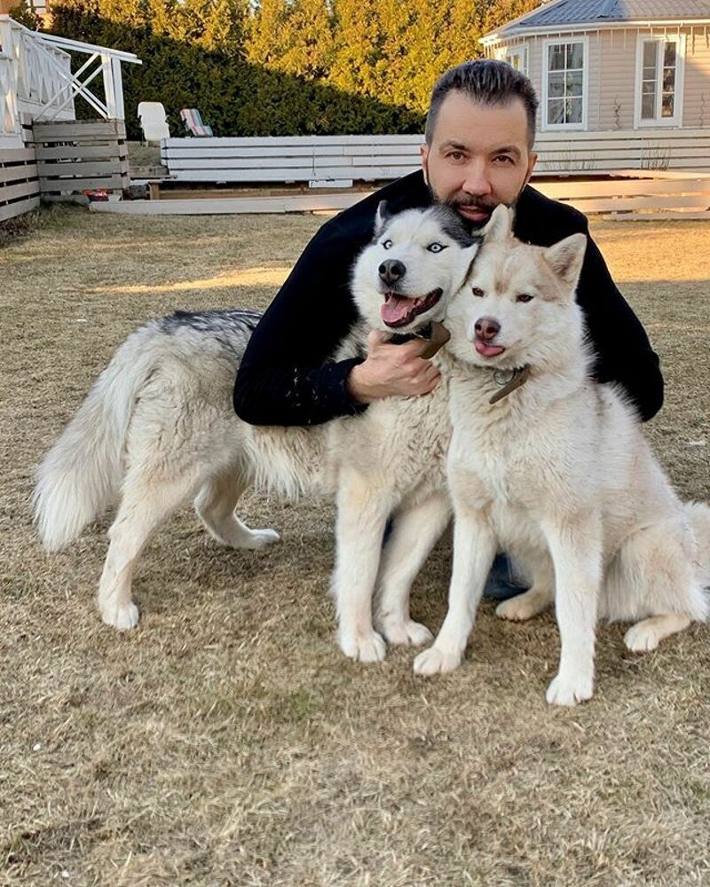 У Дениса есть домашние животные, которые могут гулять во дворе большого дома