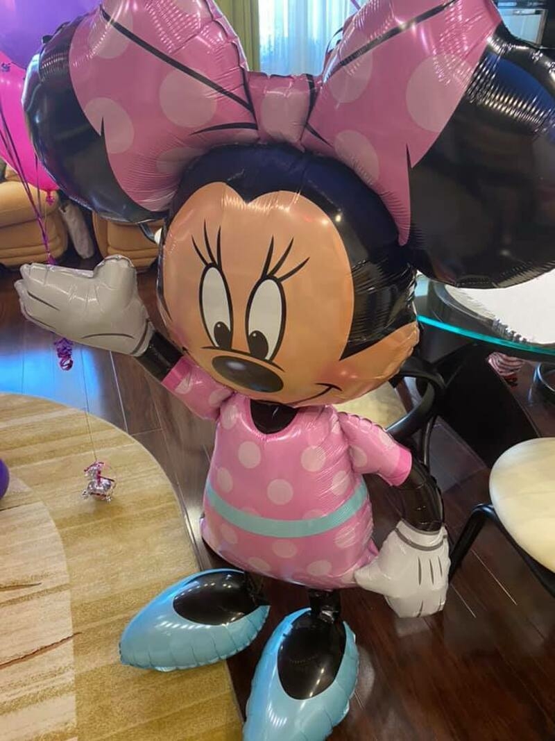 Минни Маус встречала Грачевского в гостиной