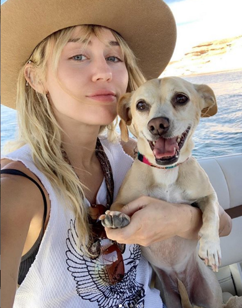 любимице миллионов семейный круг дороже ночных тусовок