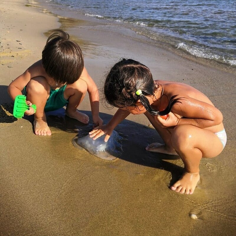 В Болгарии дети смогли отдохнуть вместе с папой