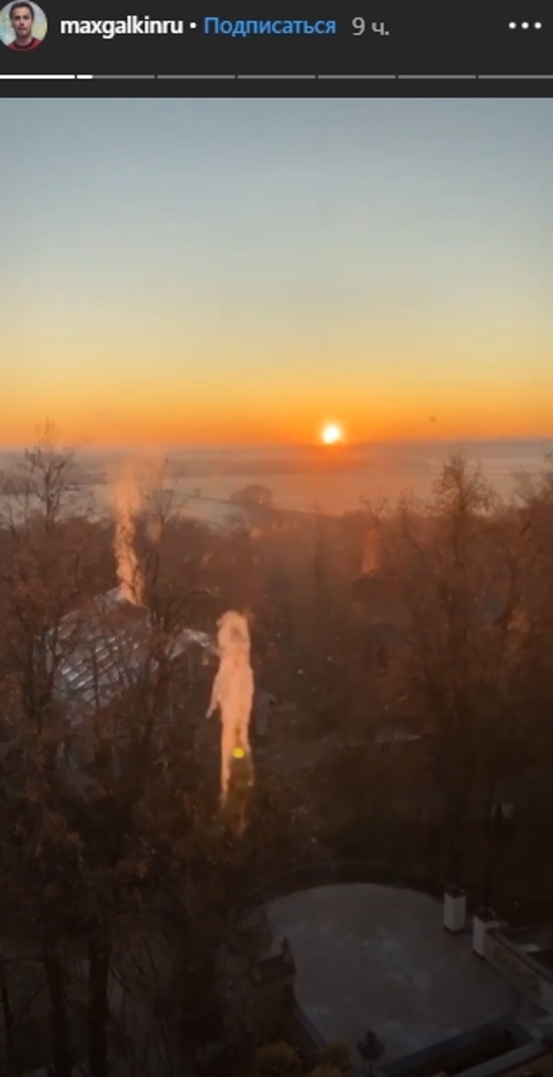 Замок Галкина и Пугачевой "атаковали" птицы