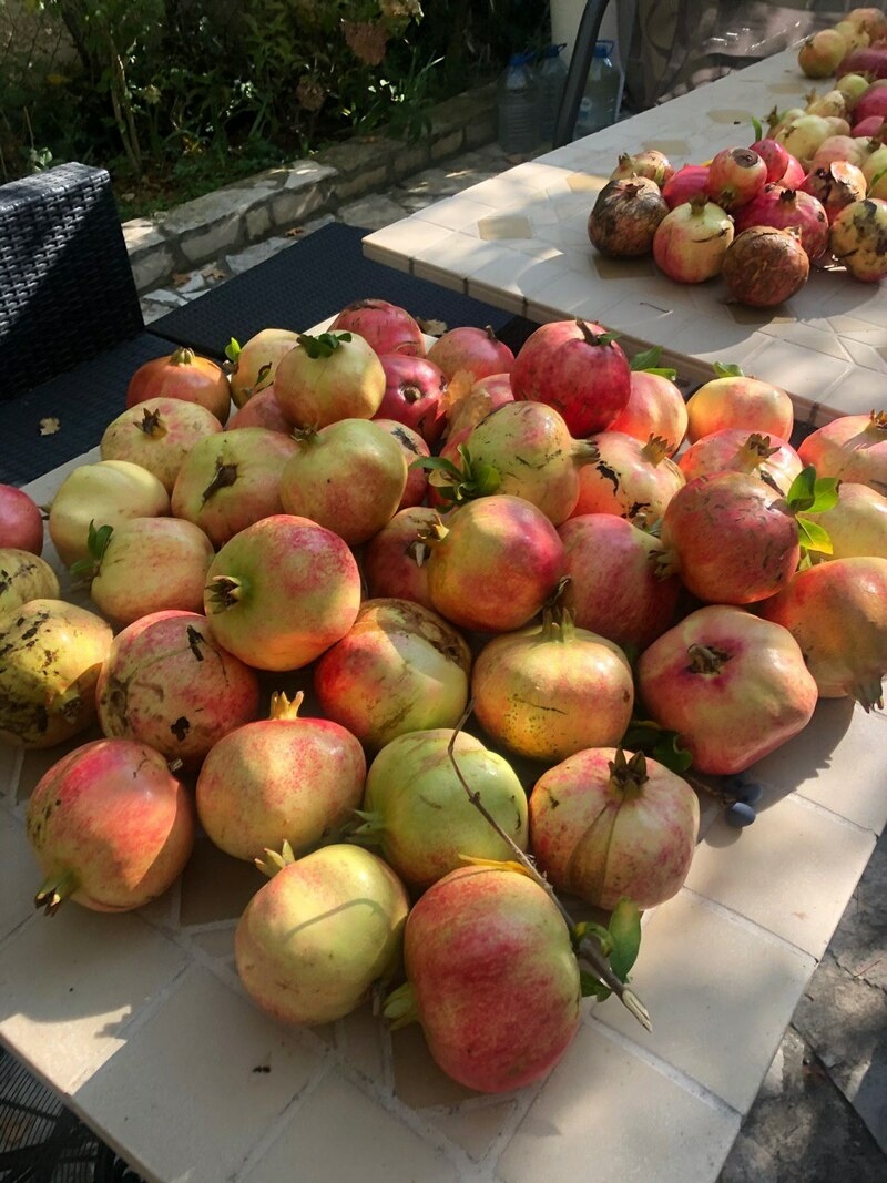 Балерина собрала небывалый урожай в этом году