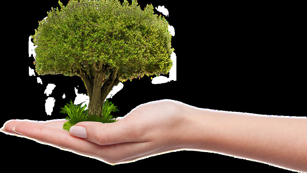 По следам Греты Тунберг: кто еще вместе с 16-летней активисткой бьет в набат