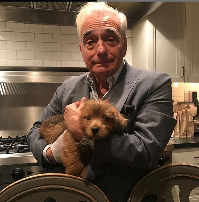 Мартин Скорсезе