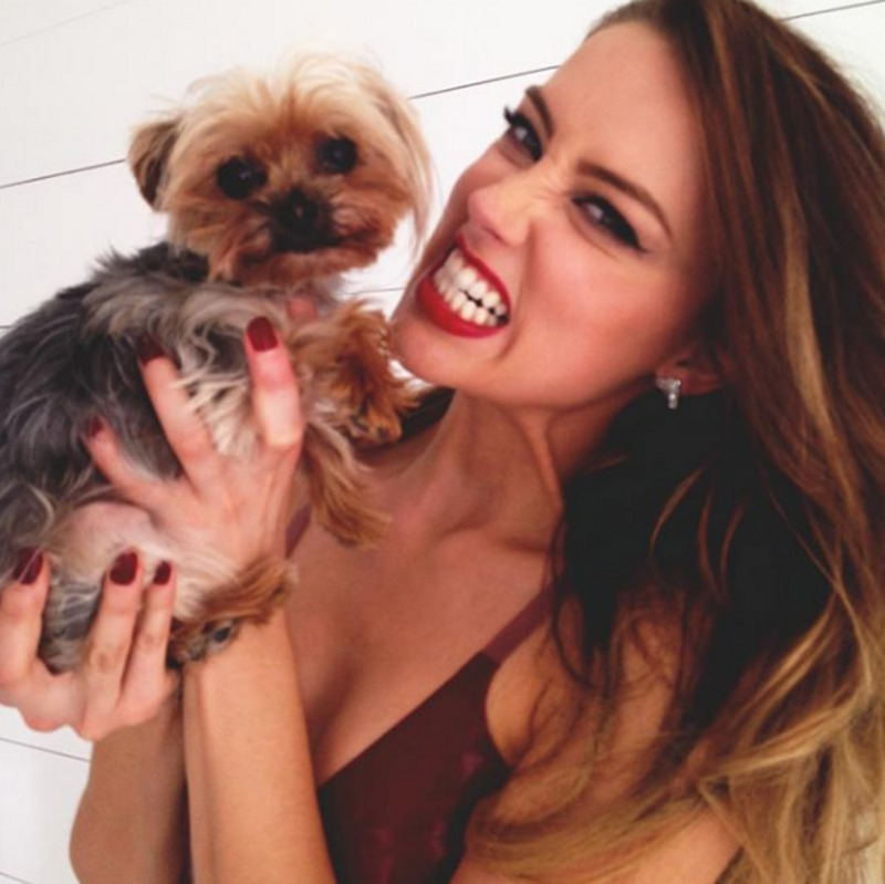 Джонни Депп подал иск против бывшей жены, обвинив в публичной клевете и подкрепив свой иск жуткими фото с травмами