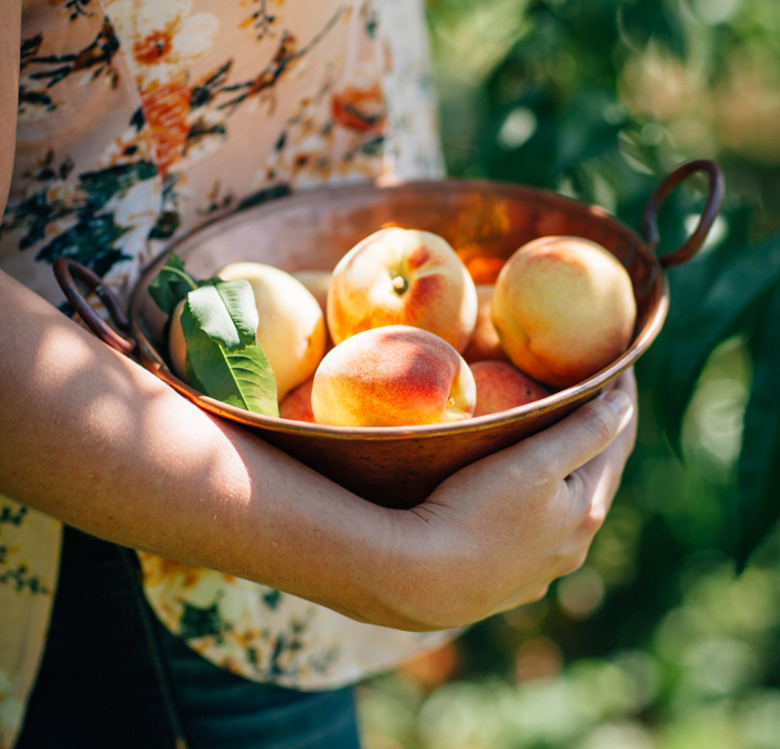 Выбираем аромат с фруктовыми нотами