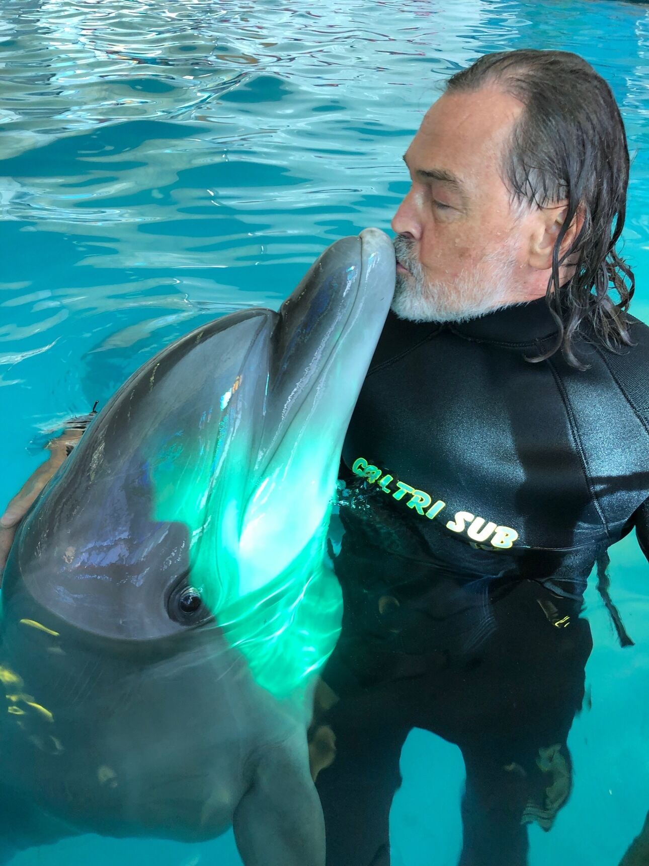 Дельфинотерапия обладает полезными свойствами