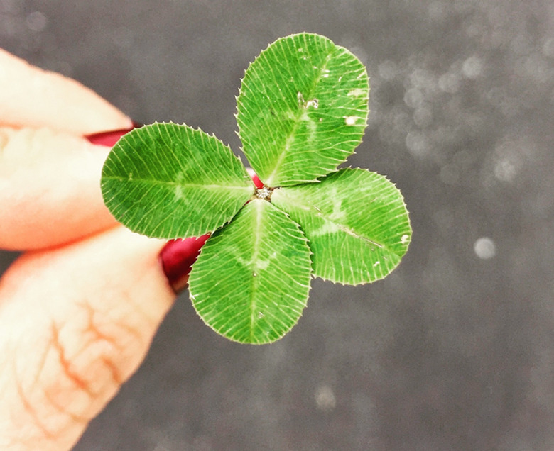 Кому из знаков Зодиака улыбнется удача в июле?