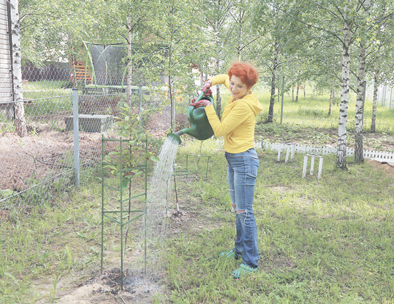 И возможность заняться садом в свое удовольствие