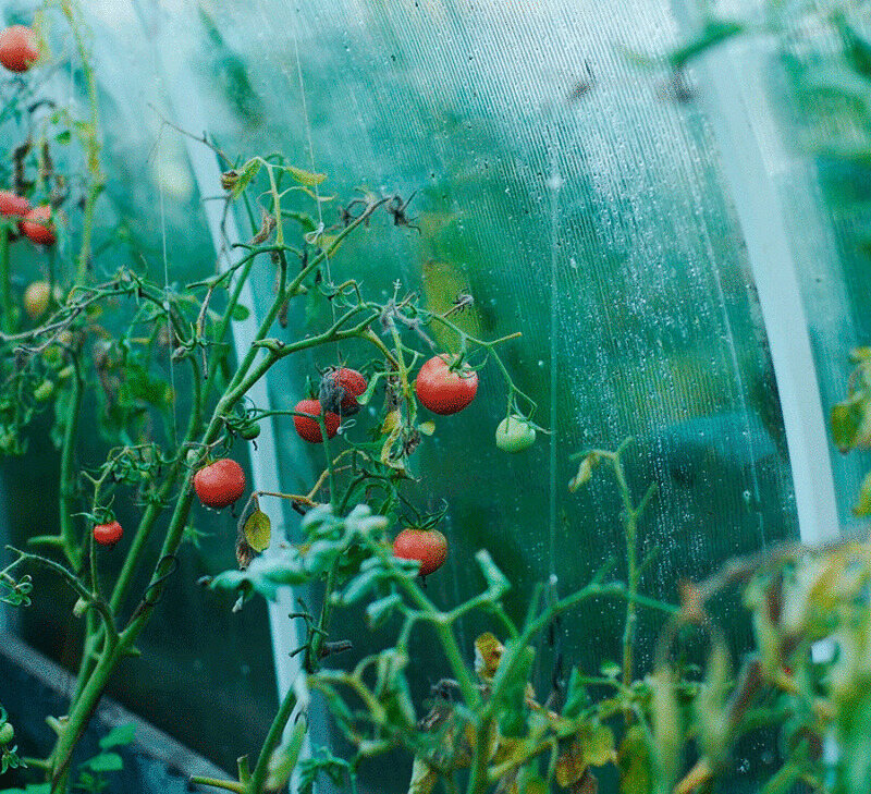 удобрения действуют только при попадании на саму землю, а не на снег