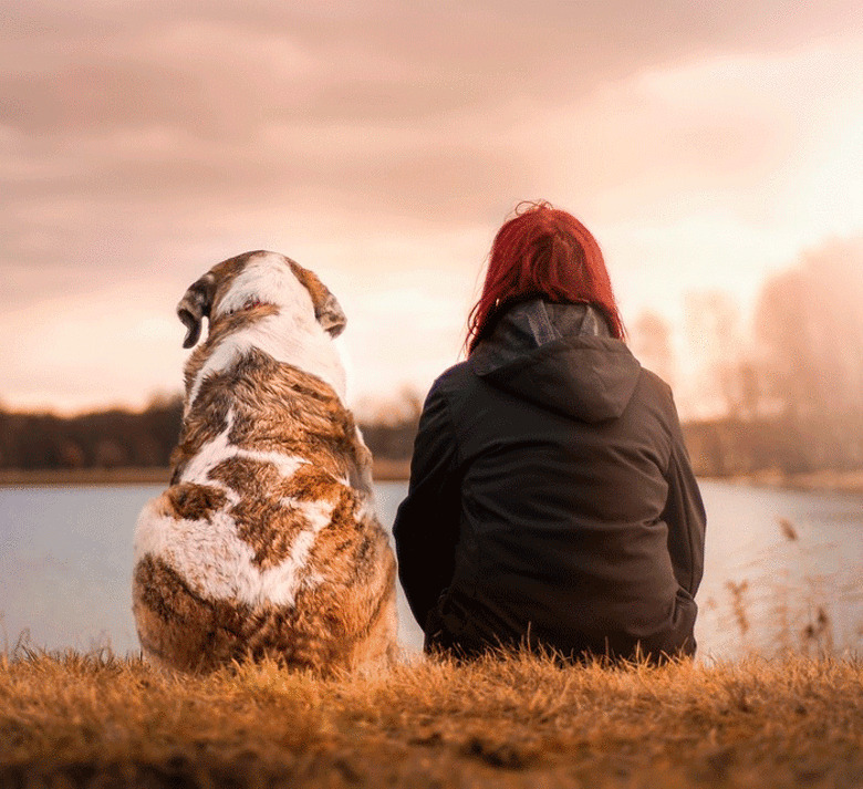 заведите друга