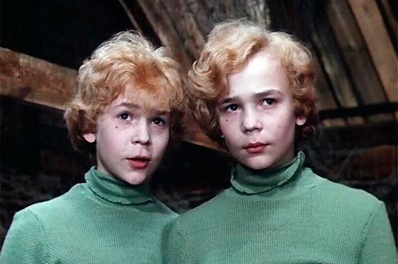 Владимир и Юрий Торсуевы