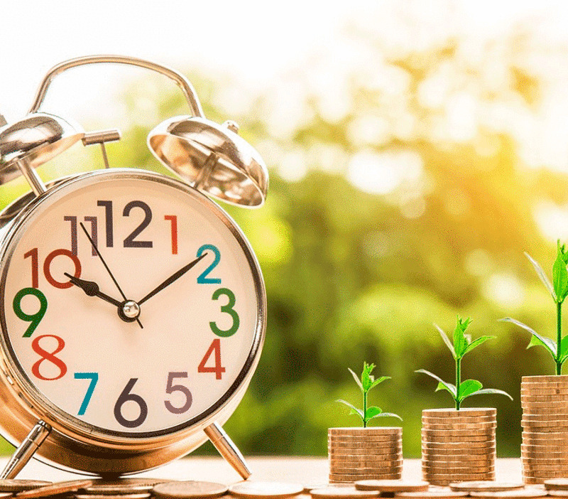 Это растение долго растет, поэтому запаситесь терпением