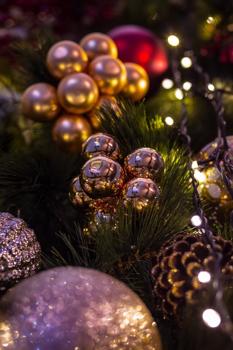 Шишки и продукты сулят богатую жизнь