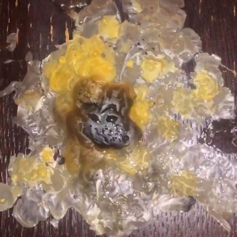 Что уж тут увидела ведущая, остается догадываться