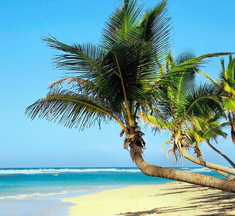 Шикарная природа и уникальная кухня притягивают туристов на Кубу