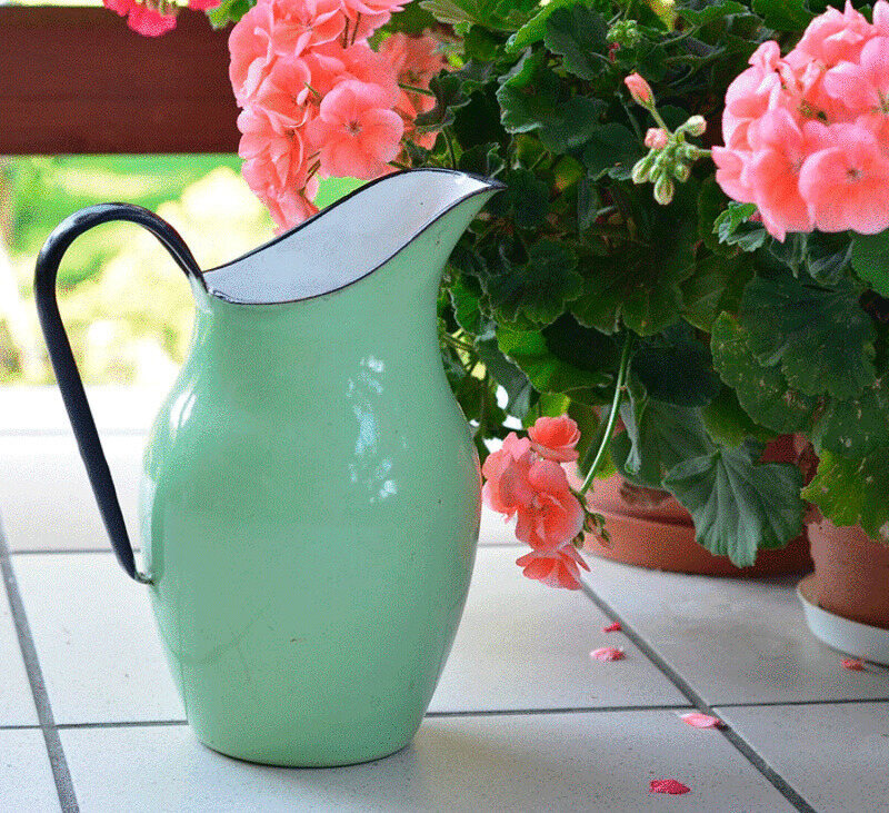 Его не нужно слишком часто поливать