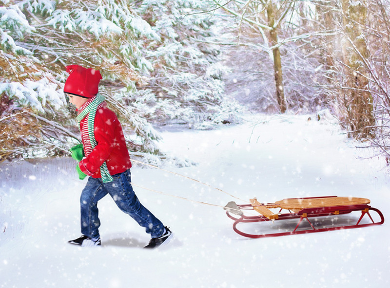 В декабре переориентируйте детей на постижение гуманитарных дисциплин