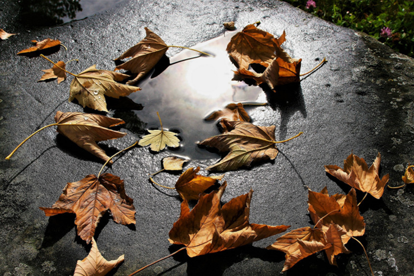 В ноябре главное - не унывать