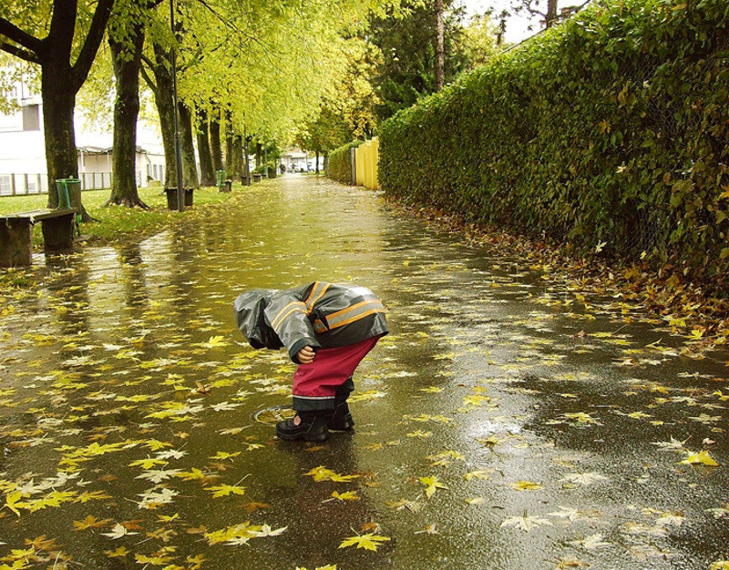 Ноябрь - лучшее время для обучения детей правилам поведения в общественных местах