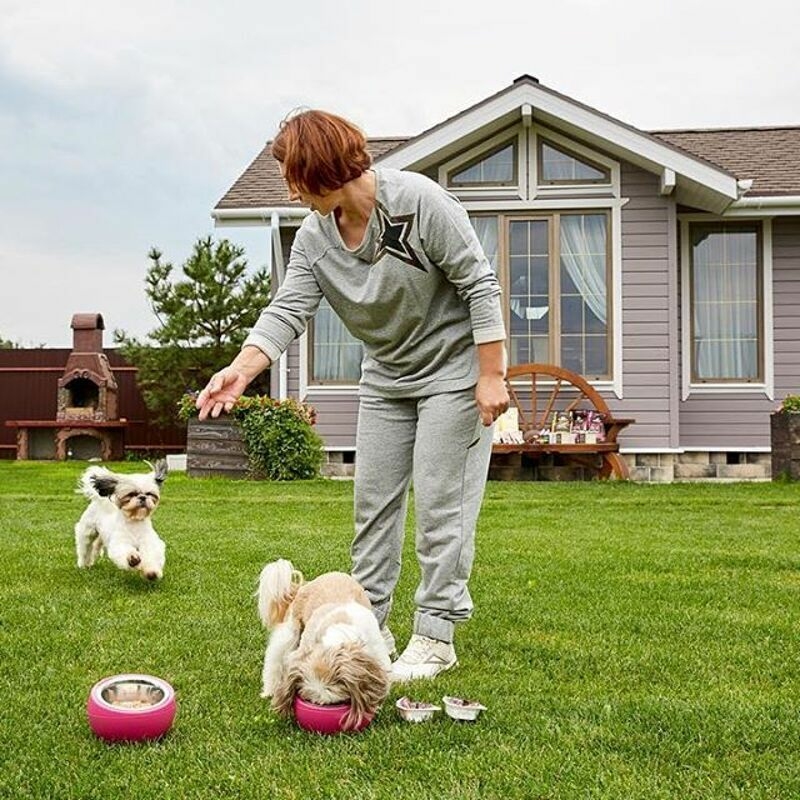 На фоне павильона