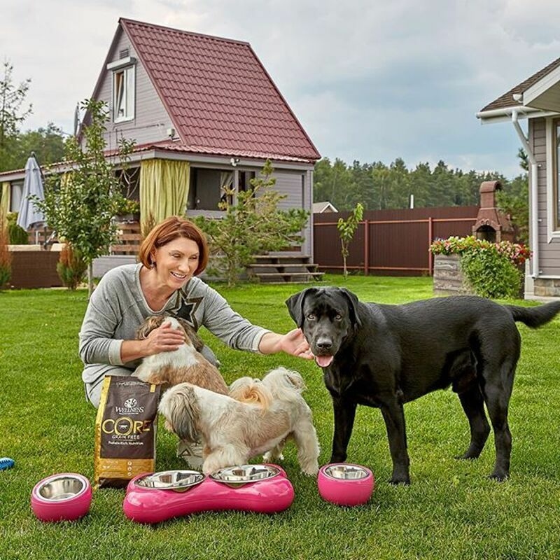 На фоне гостевого домика