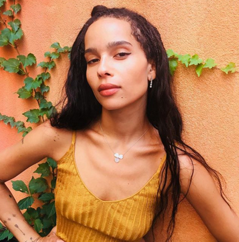 Ленни Кравитц воспитывал дочку в строгости, и это пошло ей только на пользу. В скандалах она не замечена