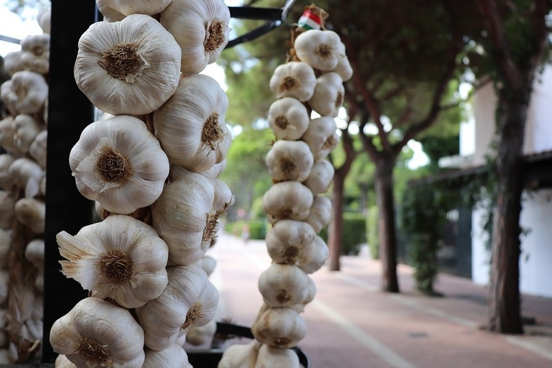 Советуем запастись чесноком нового урожая