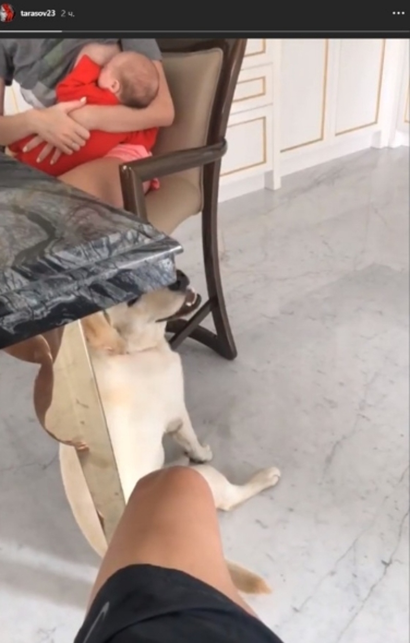 Тарасов обнародовал видео с кормящей женой