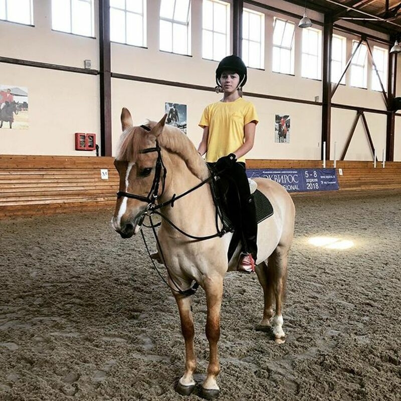 Девушка обожает лошадей