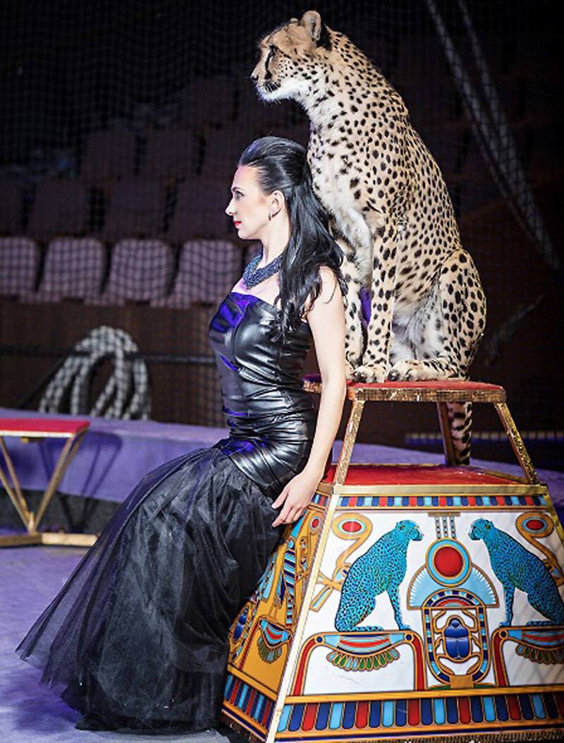 «Дрессура – это психология в чистом виде, воспитание»